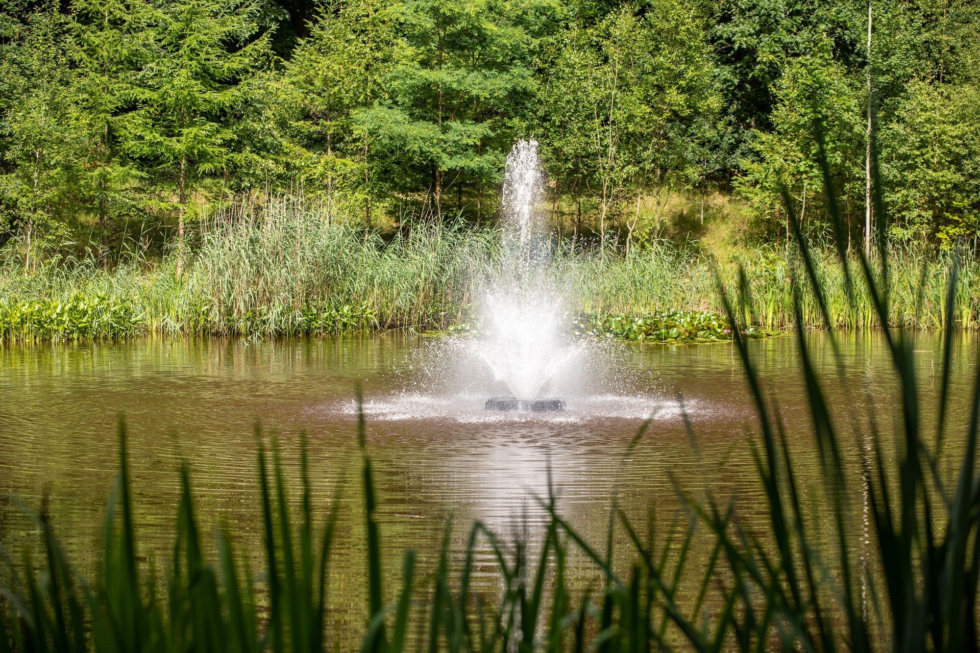 20220701_1704__MG_8807