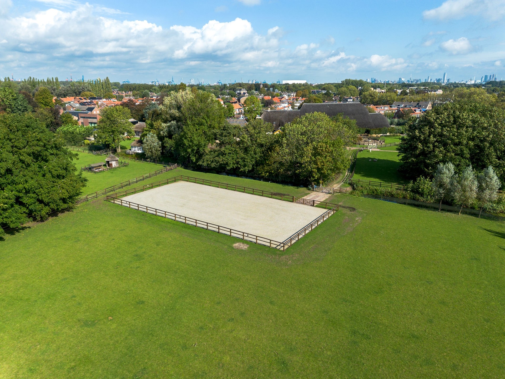 20230918_1154_DJI_0229