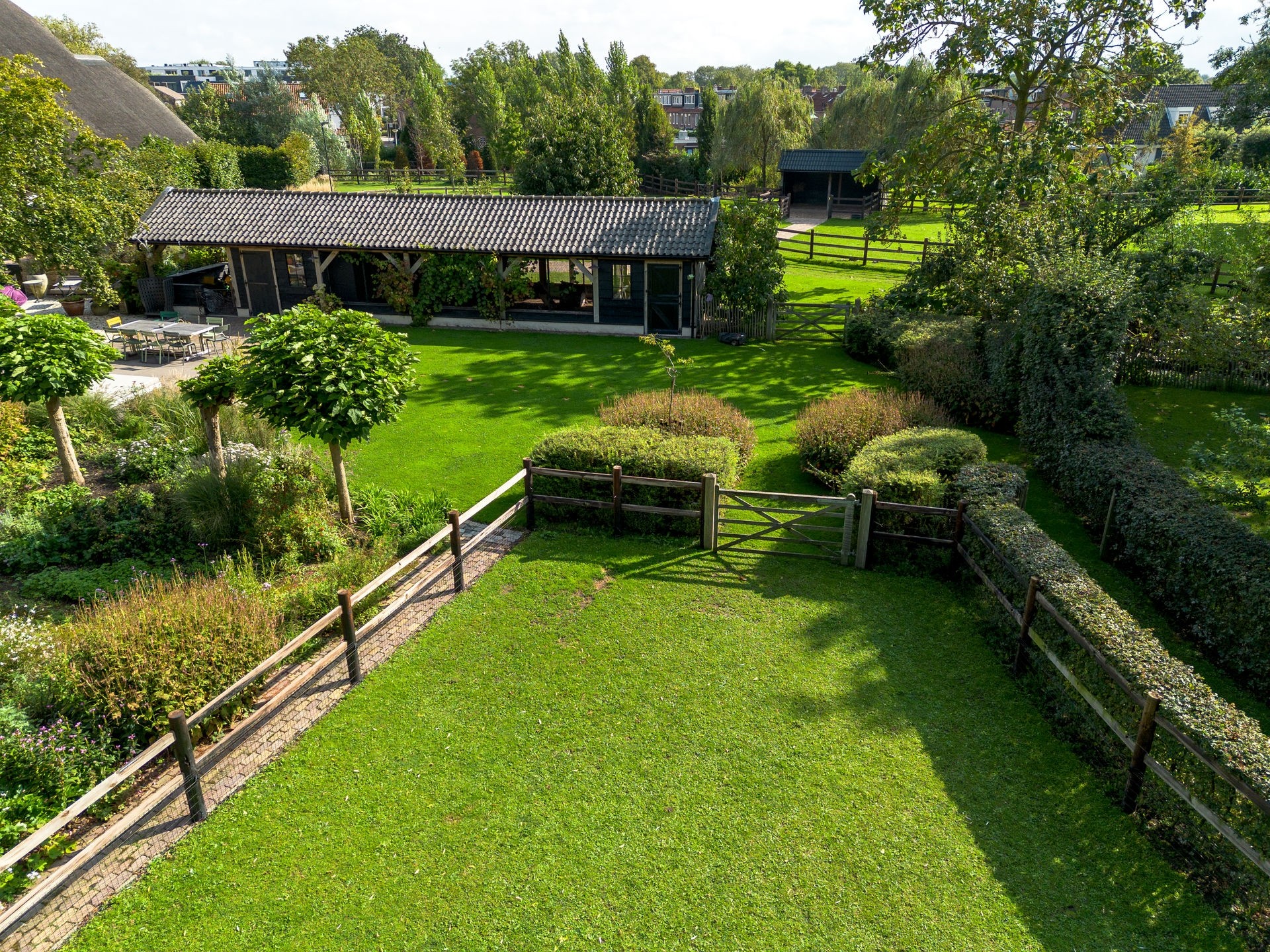 20230918_1200_DJI_0246