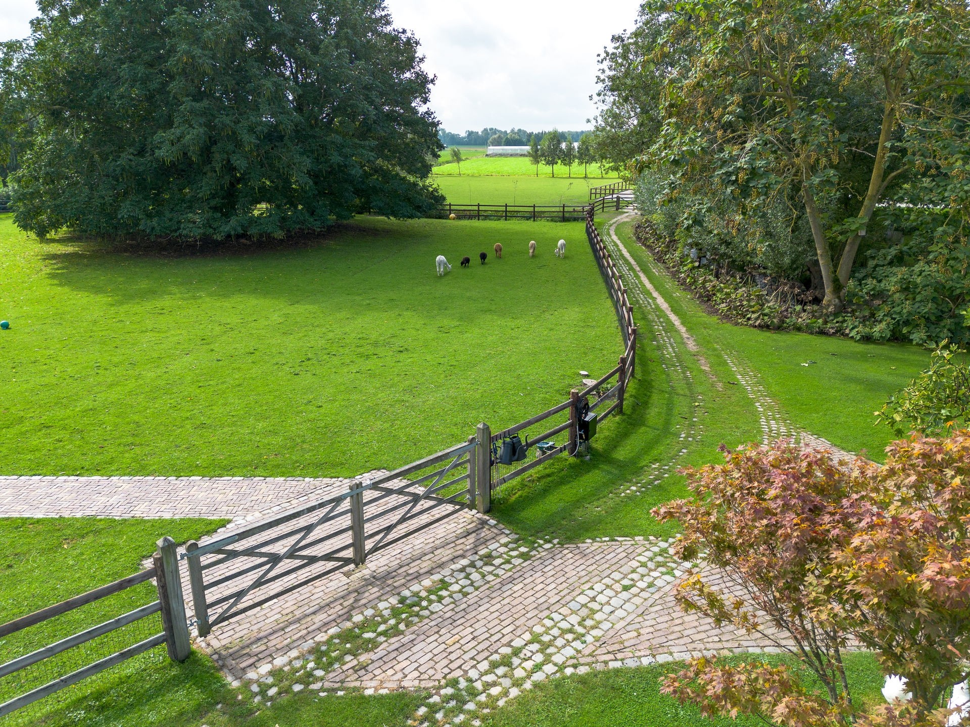 20230918_1206_DJI_0255