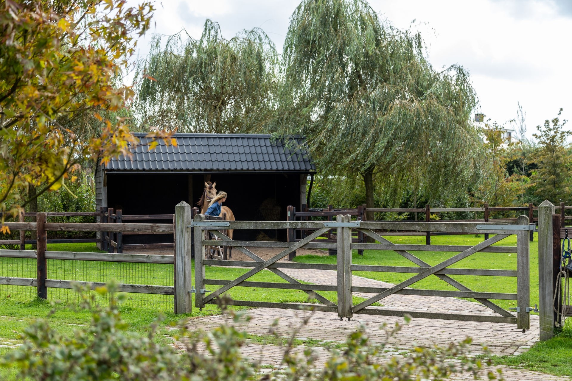 20230918_1253__MG_2769