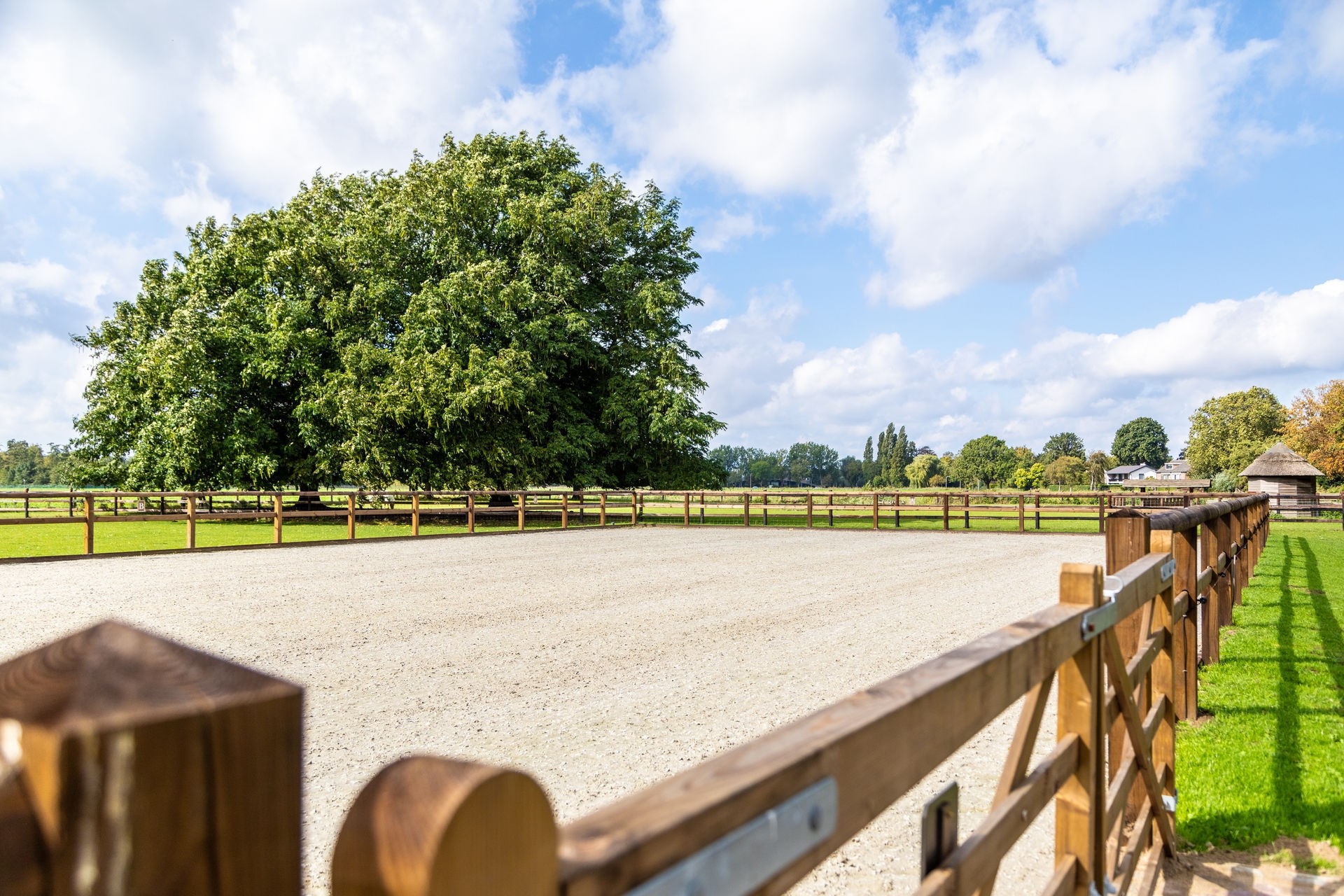 20230918_1309__MG_2876