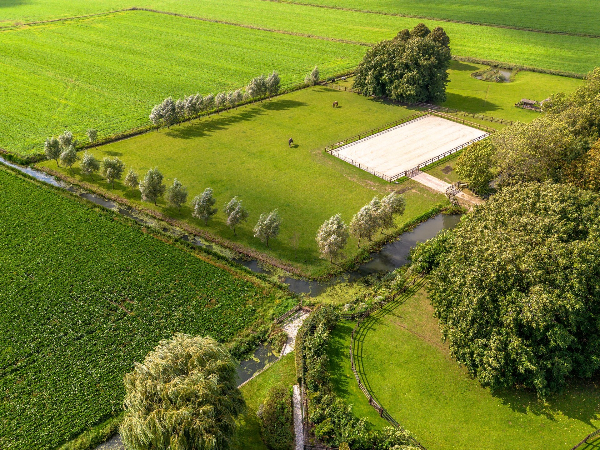 20230918_1419_DJI_0296