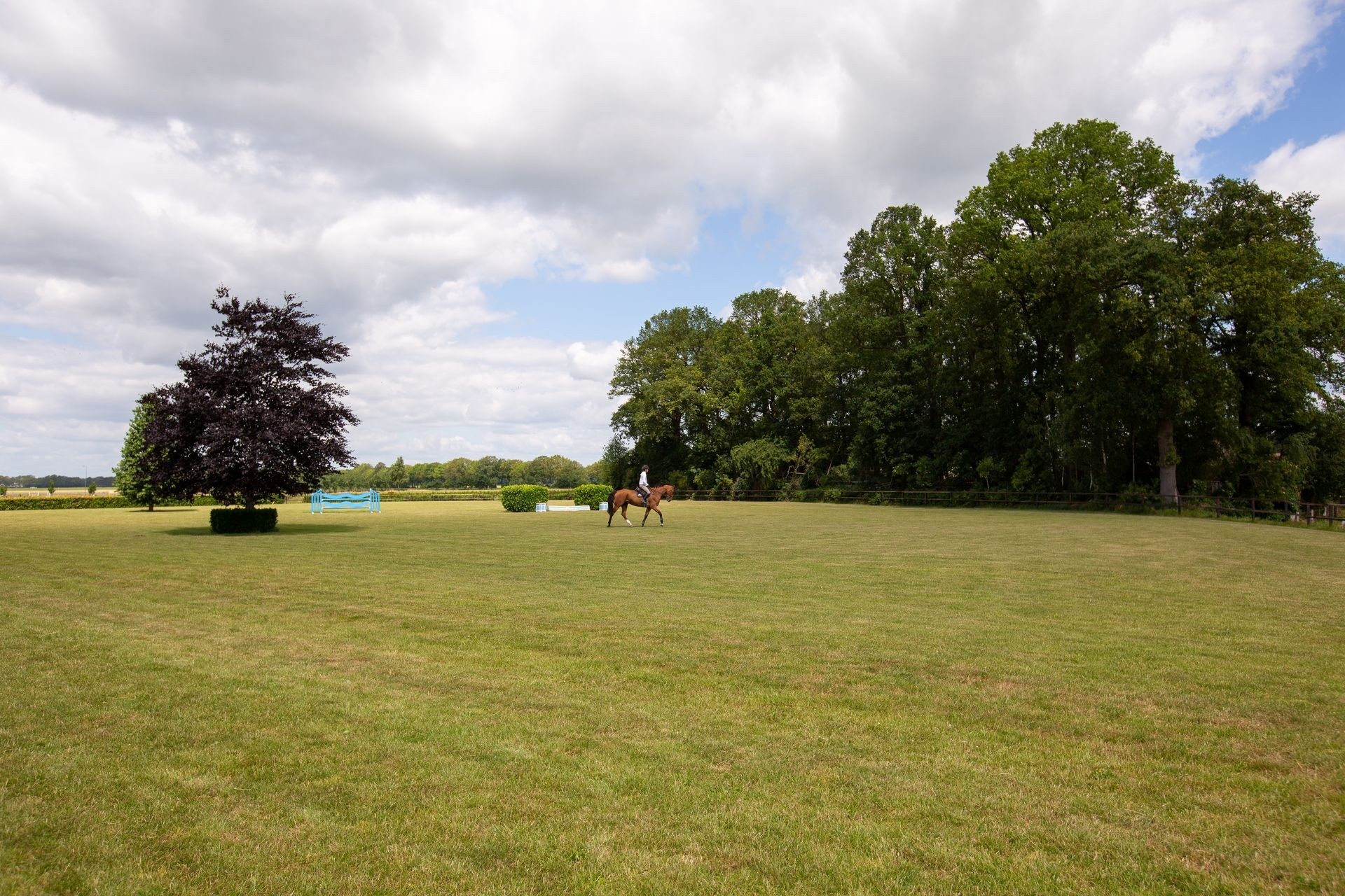 Dubbeldam - Hendriks Omheining Didam (26)