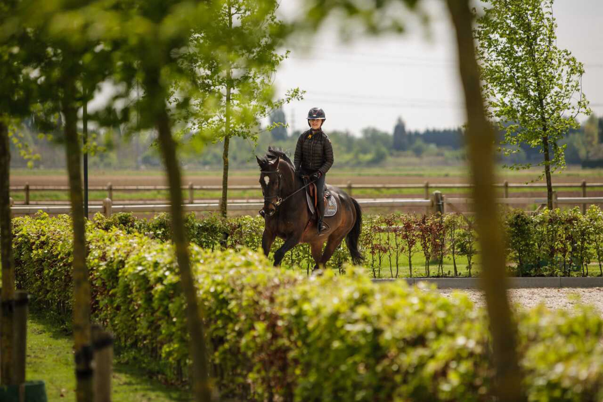 Fencing Hendriks Sporthorses-12