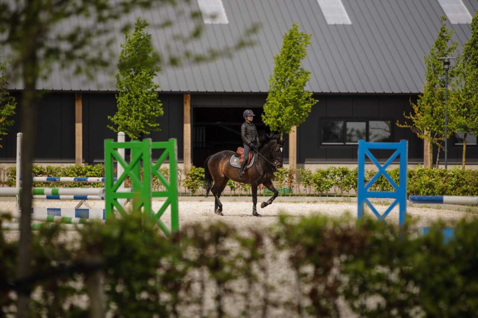 Fencing Hendriks Sporthorses-13