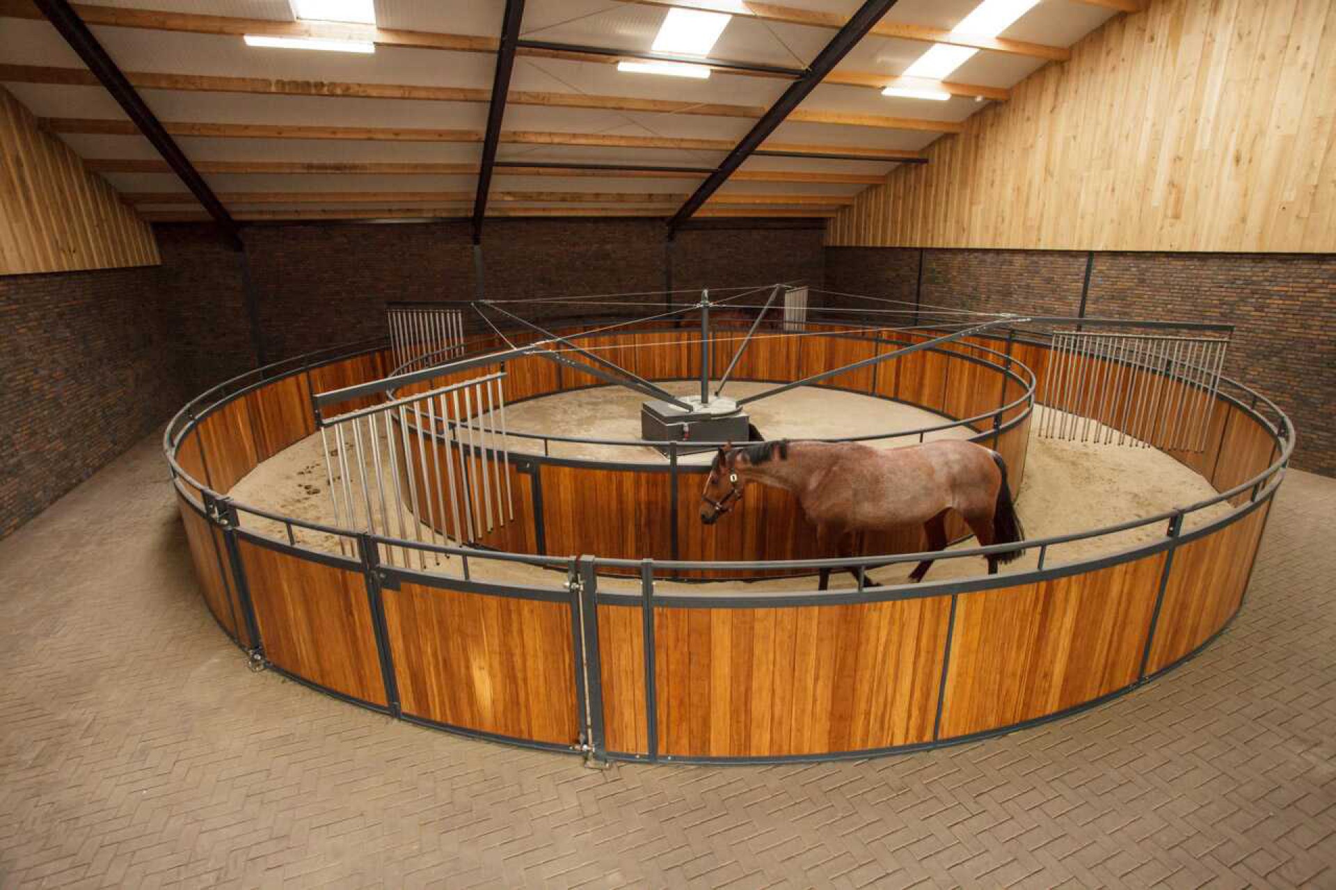 Fencing Hendriks Sporthorses-16
