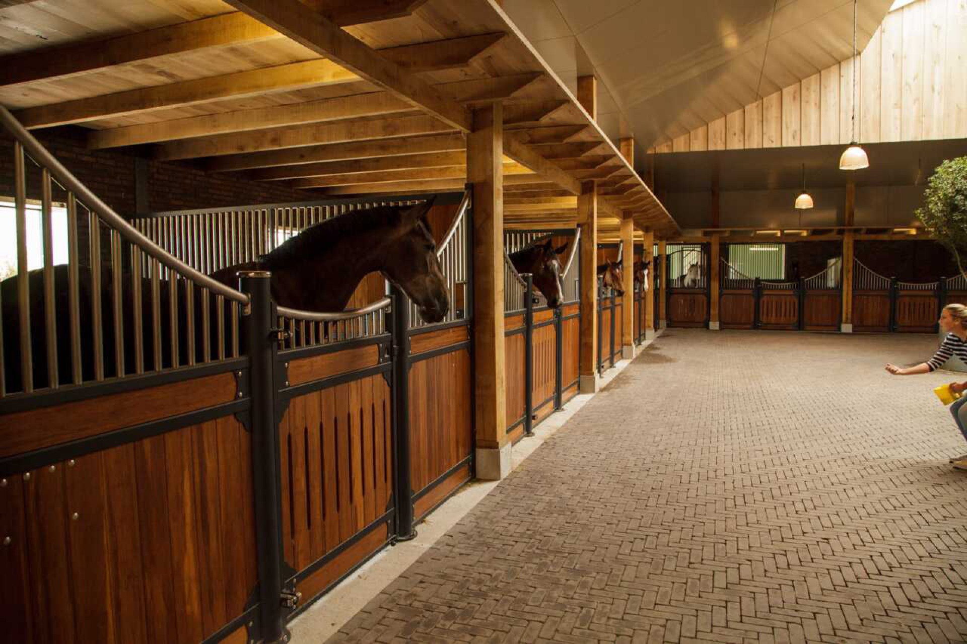 Fencing Hendriks Sporthorses-18