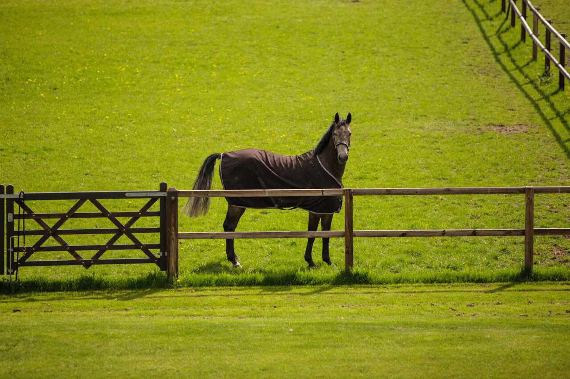 Fencing Hendriks Sporthorses-19