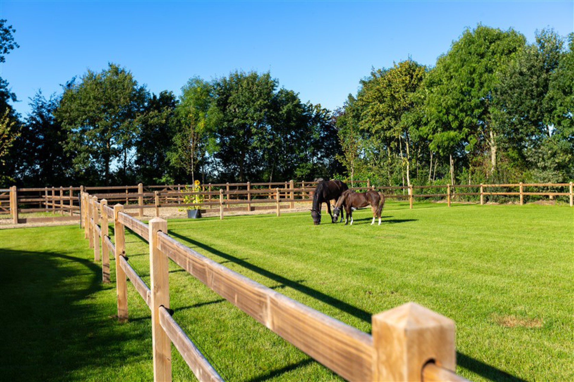 Fencing private stable Montferland-11