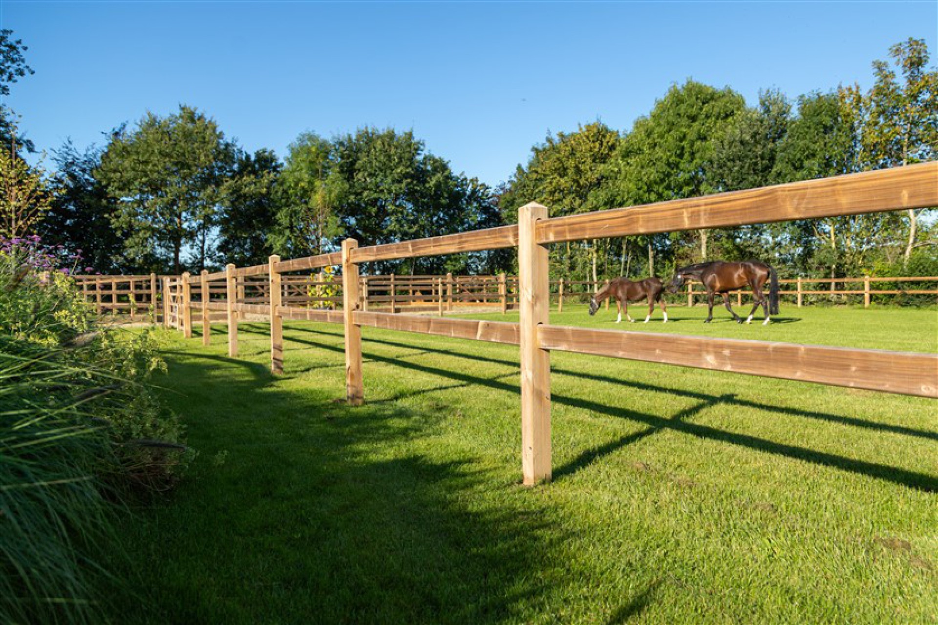 Fencing private stable Montferland-13