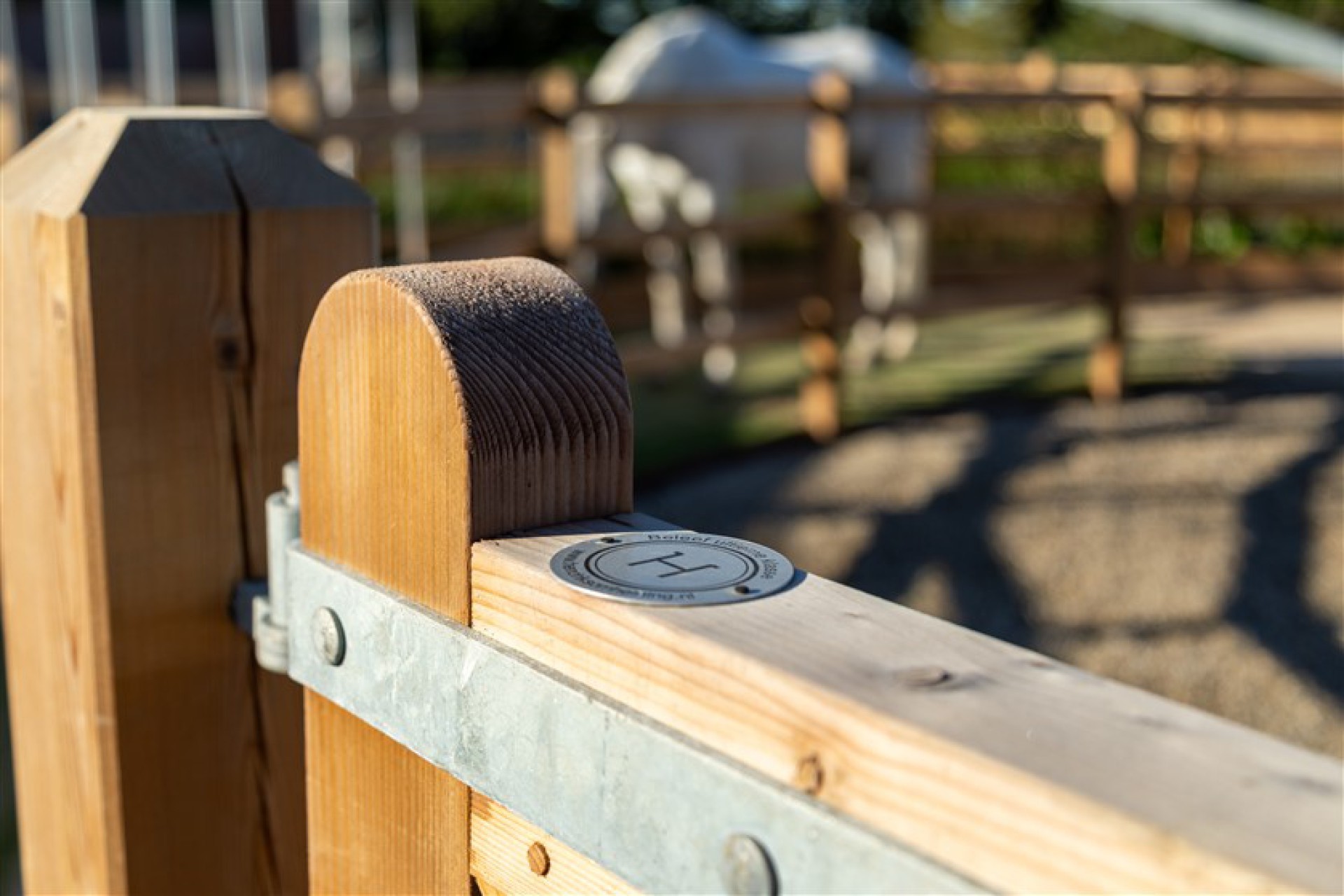 Fencing private stable Montferland-14