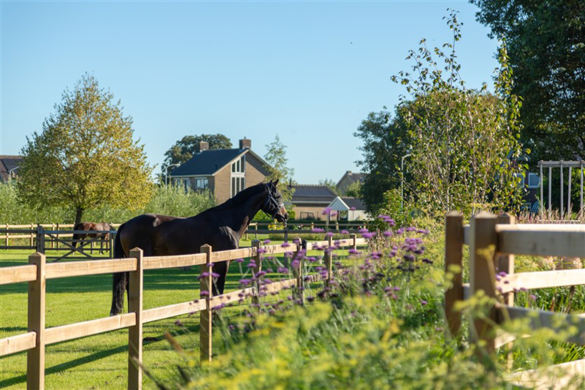 Fencing private stable Montferland-2
