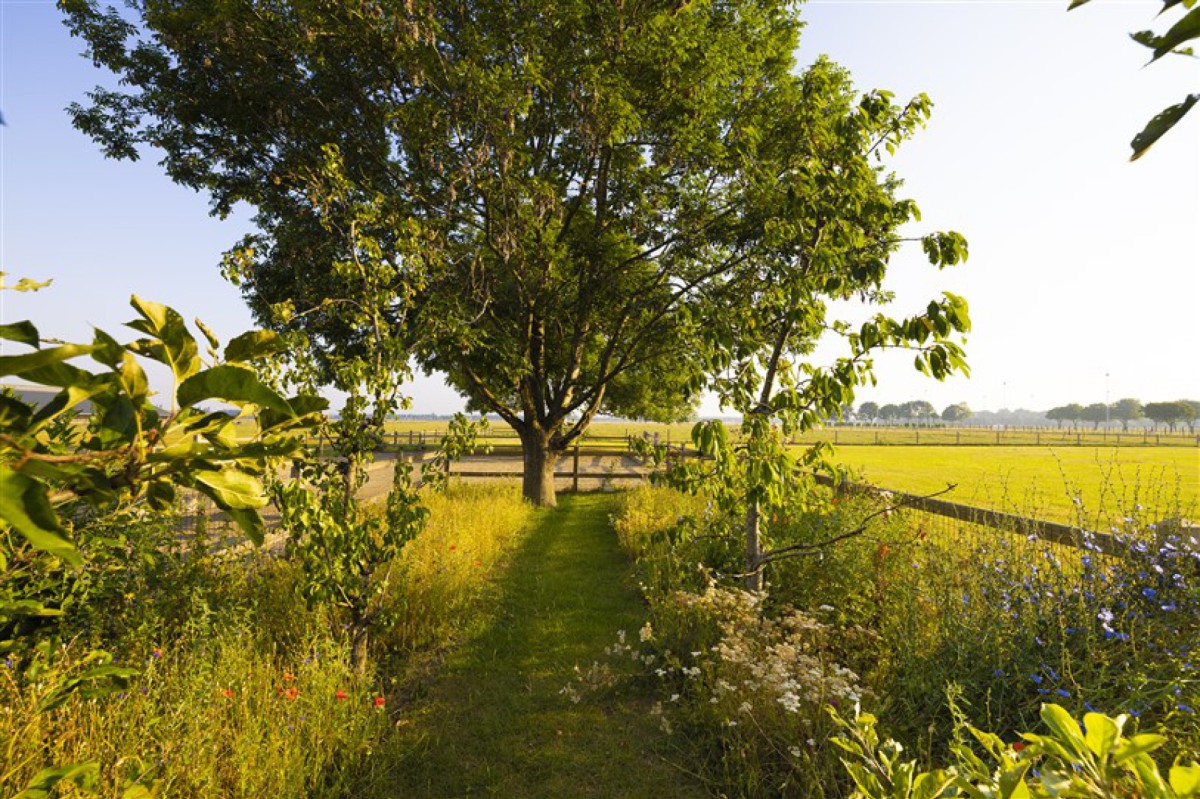 hendriks-fence-1-1712828028r2pIe_1200x799.jpg