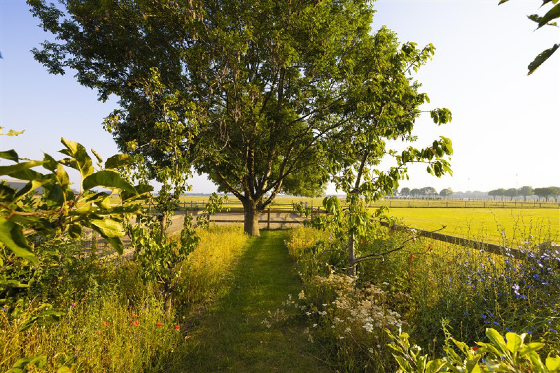 Hendriks Fence-5