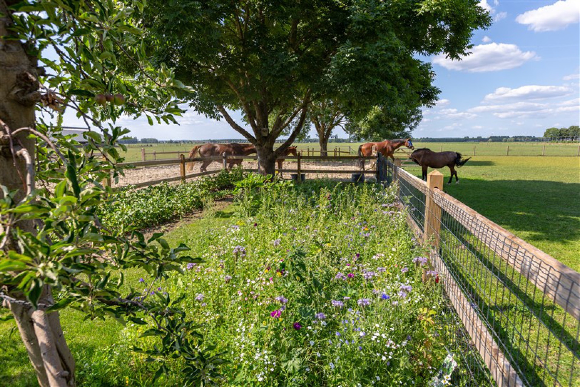Hendriks Fence-8