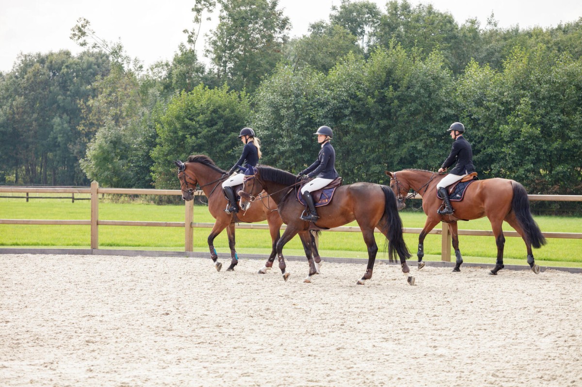 hendriks-omheining-33-17500734062QupG_1200x799.jpg