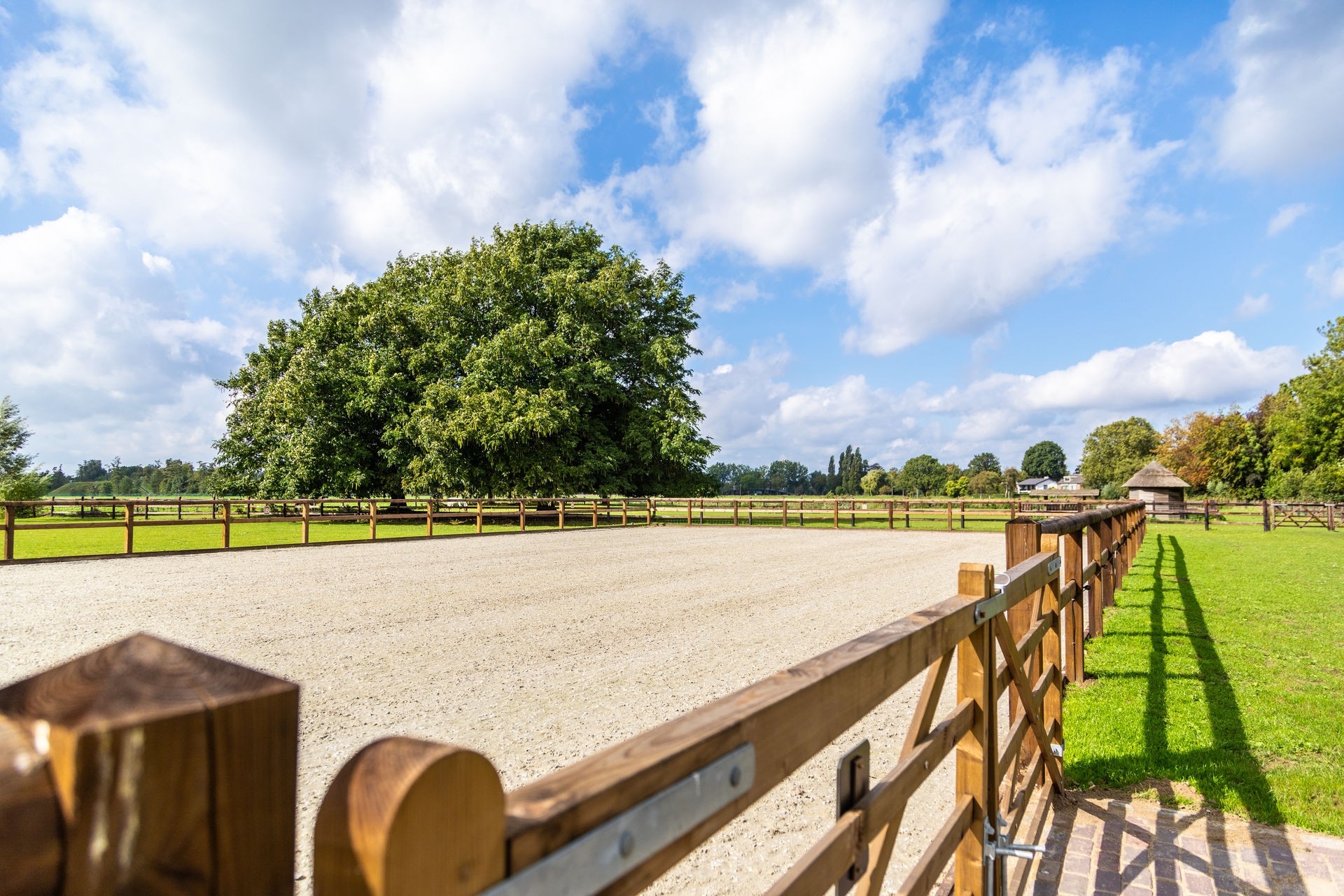 Landscape Hendriks (35)